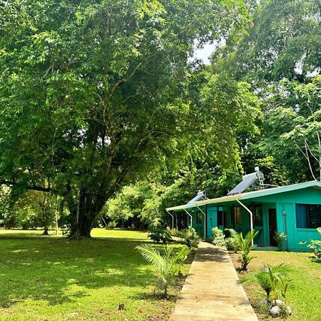 The Secret Eco Lodge Tortuguero Zewnętrze zdjęcie