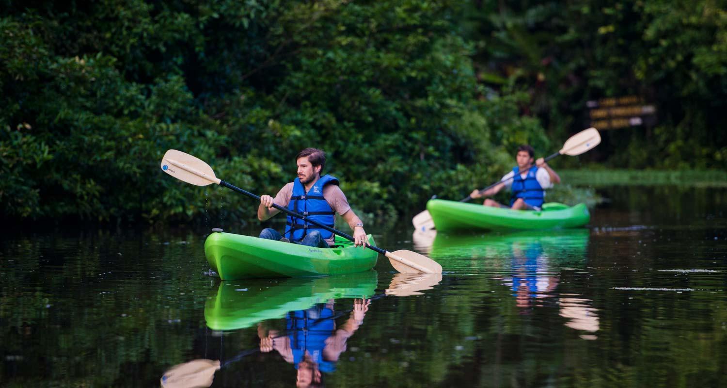 The Secret Eco Lodge Tortuguero Zewnętrze zdjęcie