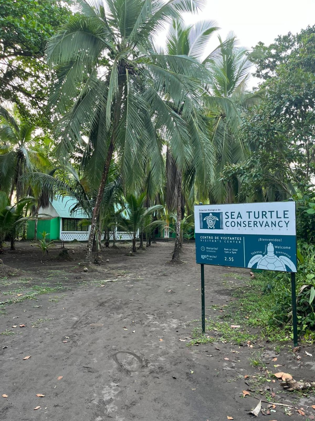 The Secret Eco Lodge Tortuguero Zewnętrze zdjęcie