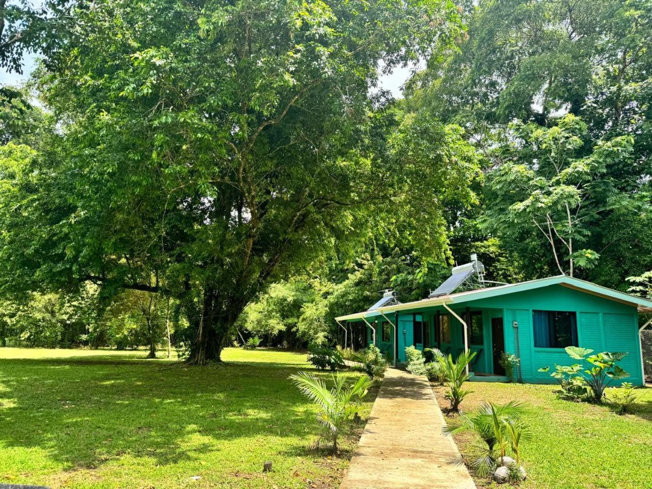 The Secret Eco Lodge Tortuguero Zewnętrze zdjęcie
