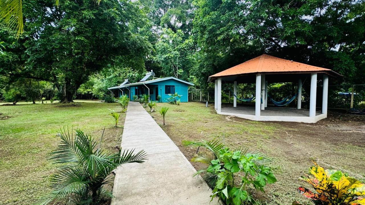 The Secret Eco Lodge Tortuguero Zewnętrze zdjęcie