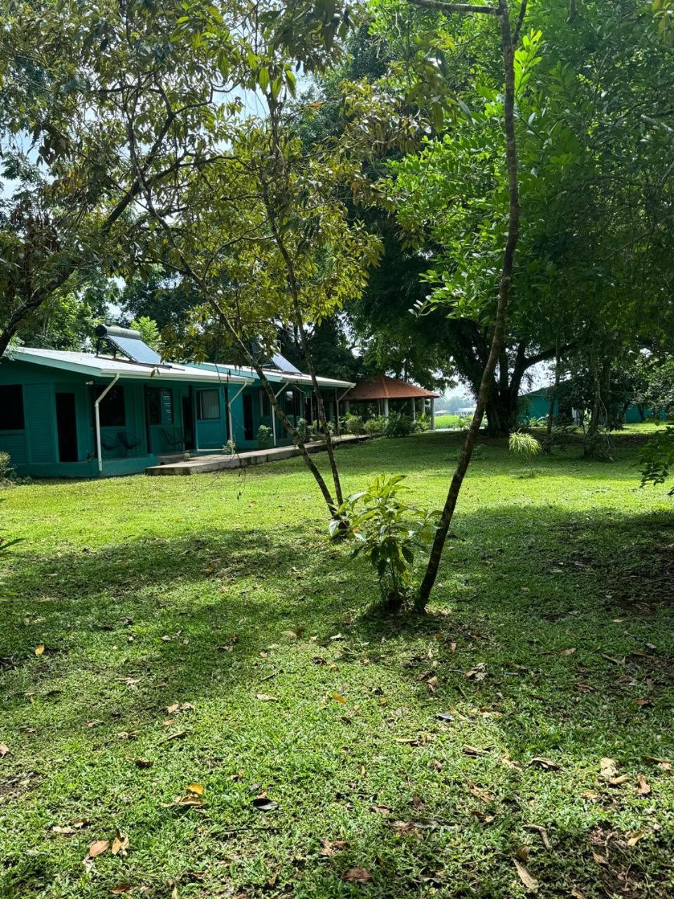 The Secret Eco Lodge Tortuguero Zewnętrze zdjęcie